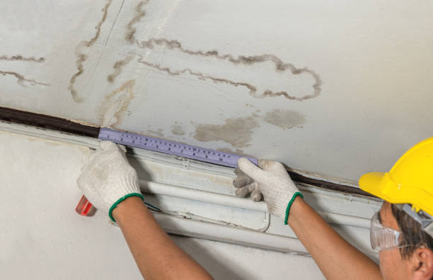 Reliable Burst Pipe Cleanup contractor in Montrose, MI by Water Damage Irwin